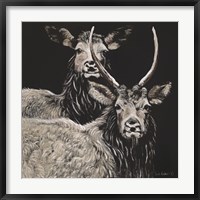Framed Two Woodland Deer