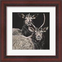 Framed Two Woodland Deer