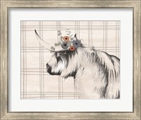 Framed Highland Cow in Gray