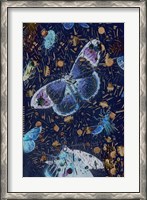 Framed Confetti with Butterflies I