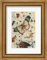 Framed Confetti with Butterflies IV