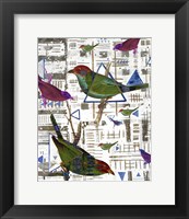 Framed Bird Intersection II