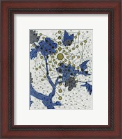 Framed 'Chakra Web with Butterfly' border=