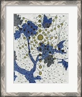 Framed 'Chakra Web with Butterfly' border=