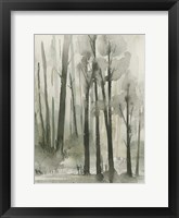 Into the Woods III Framed Print