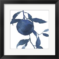 Framed Indigo Oranges II