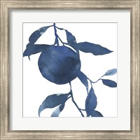 Framed Indigo Oranges II