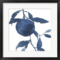 Framed Indigo Oranges II