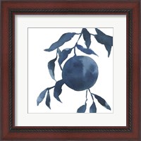 Framed Indigo Oranges IV