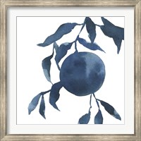 Framed Indigo Oranges IV