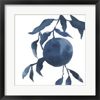 Indigo Oranges IV Framed Print