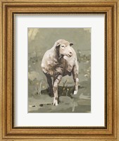 Framed Spring Sheep I