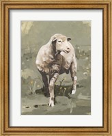 Framed Spring Sheep I