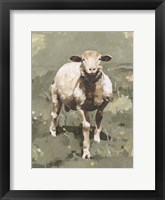 Spring Sheep II Framed Print