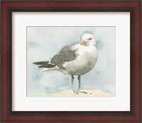 Framed Simple Seagull I