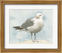 Framed Simple Seagull I