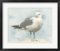 Simple Seagull I Framed Print