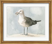Framed Simple Seagull II