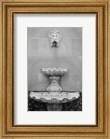 Framed Black & White Fountains I