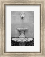 Framed Black & White Fountains I