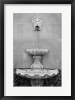 Framed Black & White Fountains I