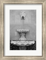 Framed Black & White Fountains I