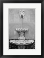 Framed Black & White Fountains I