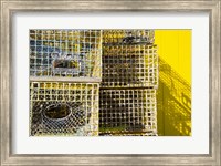 Framed Coastal Trappings IV