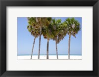 Framed Coastal Palms I