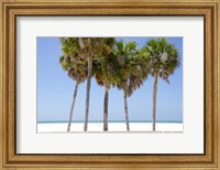 Framed Coastal Palms I
