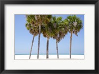 Framed Coastal Palms I