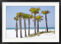 Framed Coastal Palms II