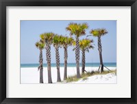 Framed Coastal Palms II