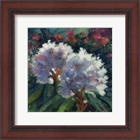 Framed Rhododendron Portrait I