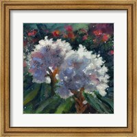 Framed Rhododendron Portrait I