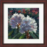 Framed Rhododendron Portrait I