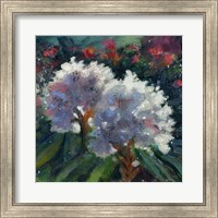 Framed Rhododendron Portrait I