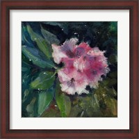 Framed Rhododendron Portrait II