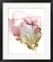 Flowering Pink I Framed Print