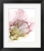 Framed Flowering Pink II