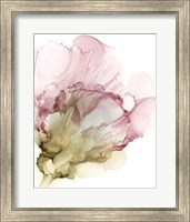 Framed Flowering Pink II
