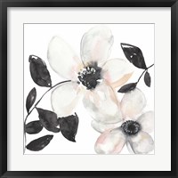 Black & Blush Anemone I Framed Print