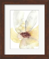 Framed Lush Flower I