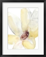 Framed Lush Flower II
