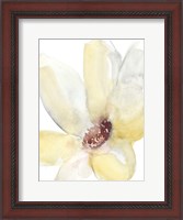 Framed Lush Flower II
