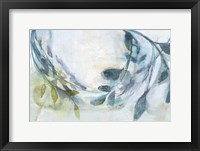 Branches & Shadows II Framed Print
