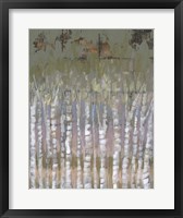 Framed Pastel Birchline II