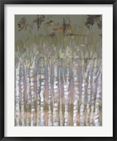 Framed Pastel Birchline II