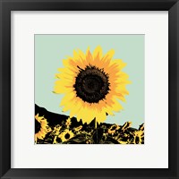Framed 'Pop Art Sunflower I' border=