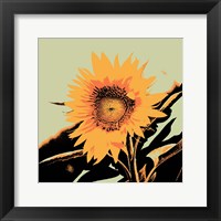 Framed Pop Art Sunflower II
